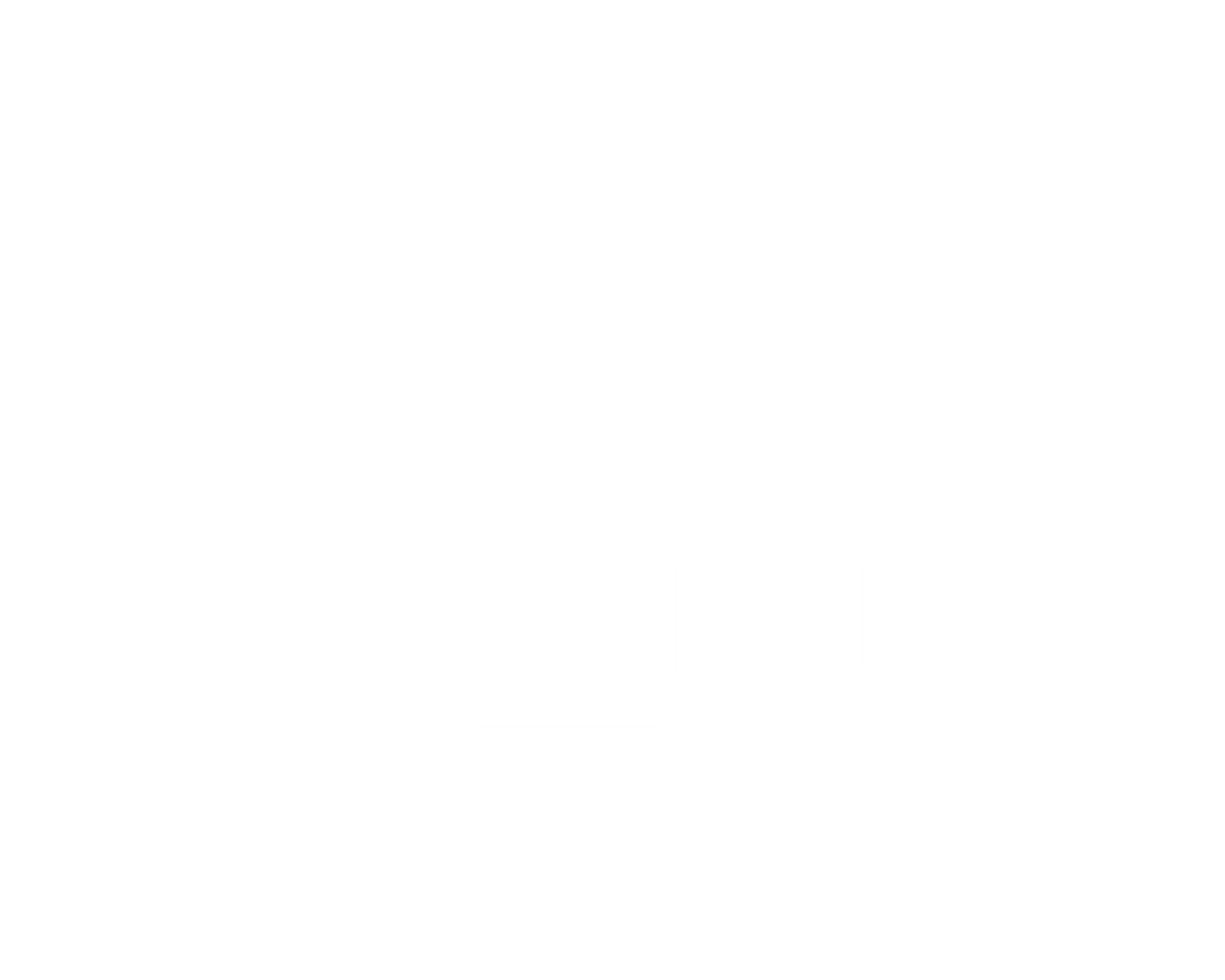 Suzuki Logo