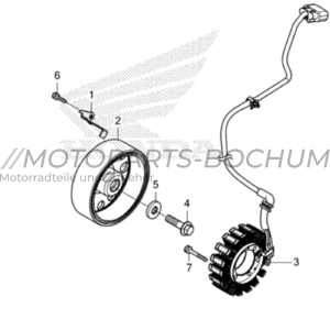 Honda CB650R / CBR650R 2021 - 2023 Lichtmaschine